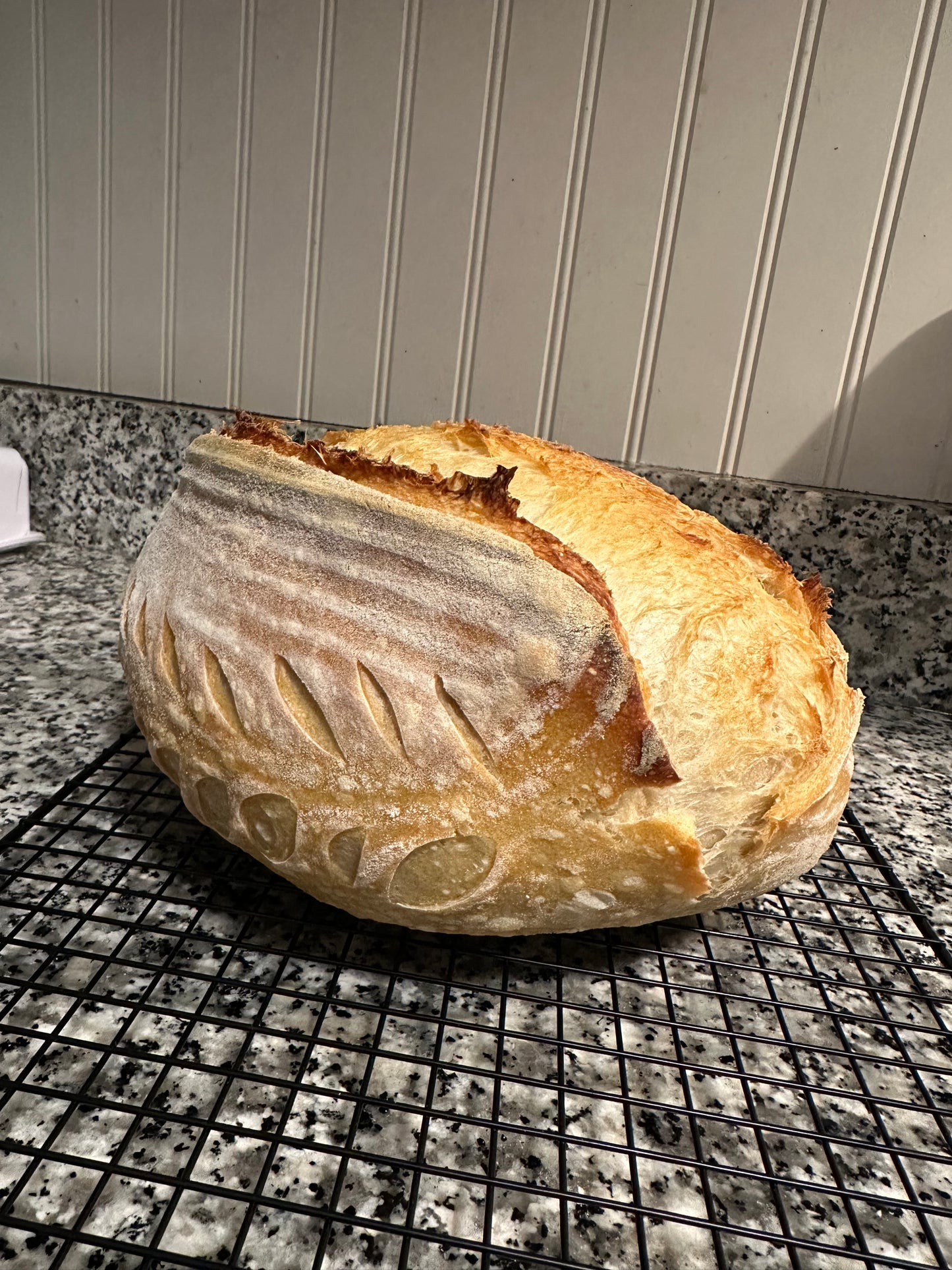 Organic Artisan Sourdough Loaf